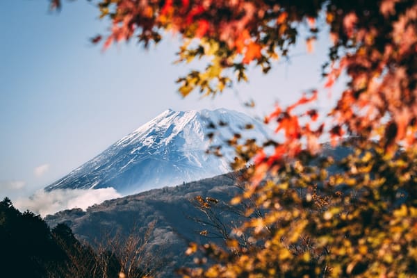 Japan struggles for balance in pivot to renewables