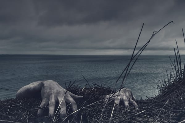 Tanzania’s zombie LNG megaproject, Total’s portfolio pivot + MORE